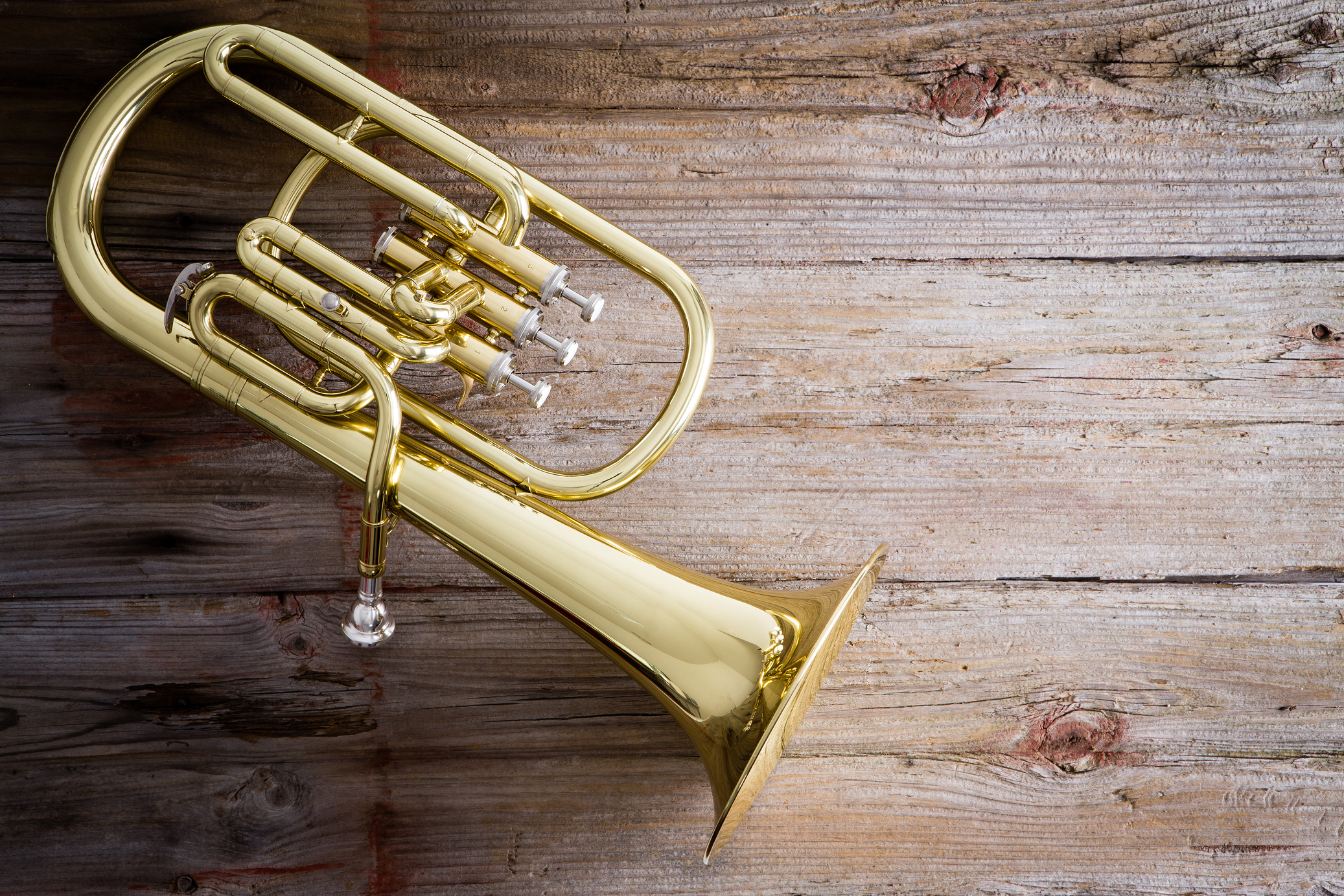 Baritone Horn on a Wooden Floor with Copy Space